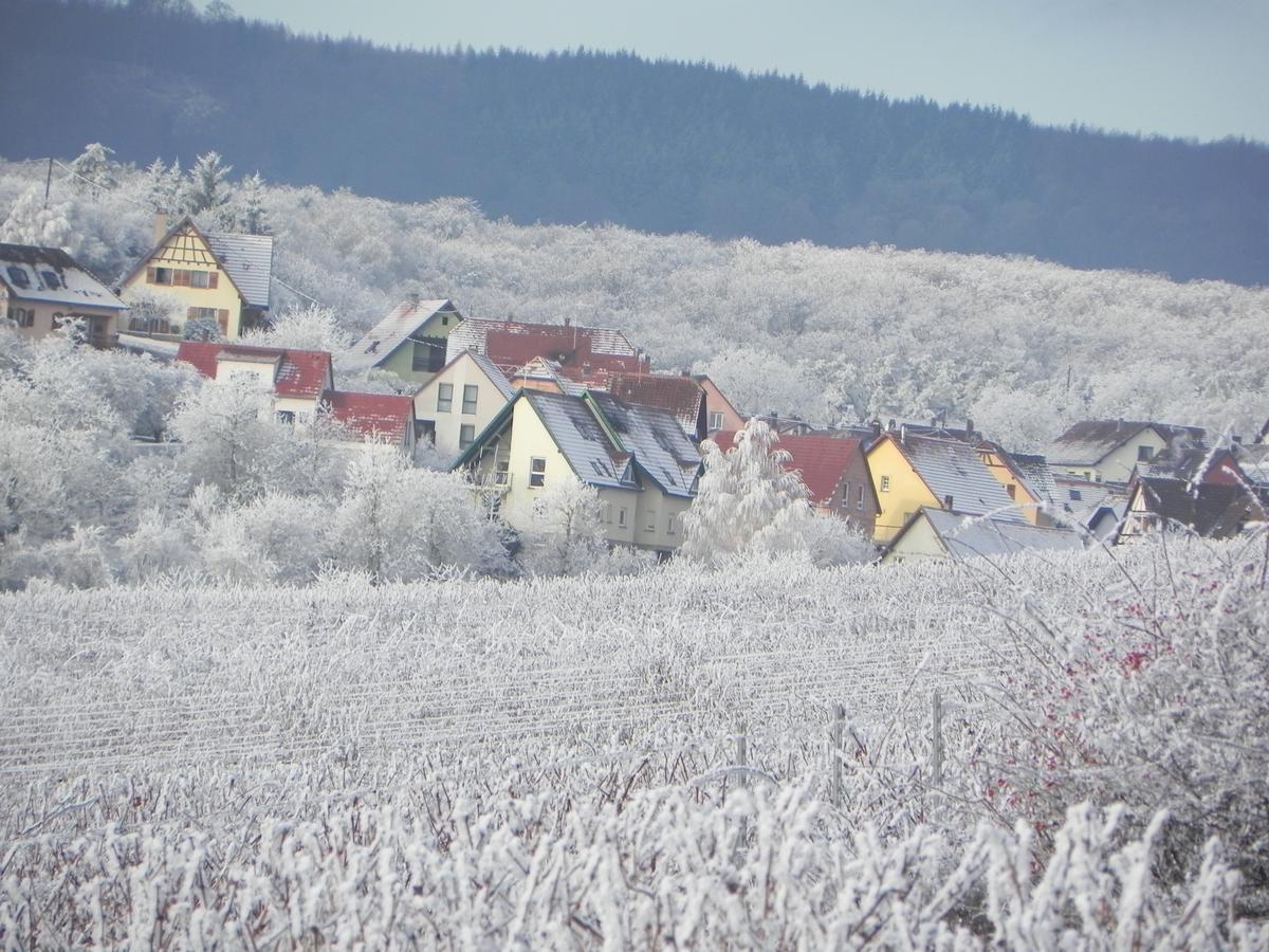 Nid De Cigognes Apartment Rosheim Bagian luar foto